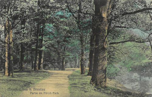 125. Dtsch. Lissa b. Breslau. Partie im Furstl. Park.